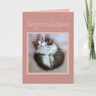Gefeliciteerd Kittens in de liefde Kaart