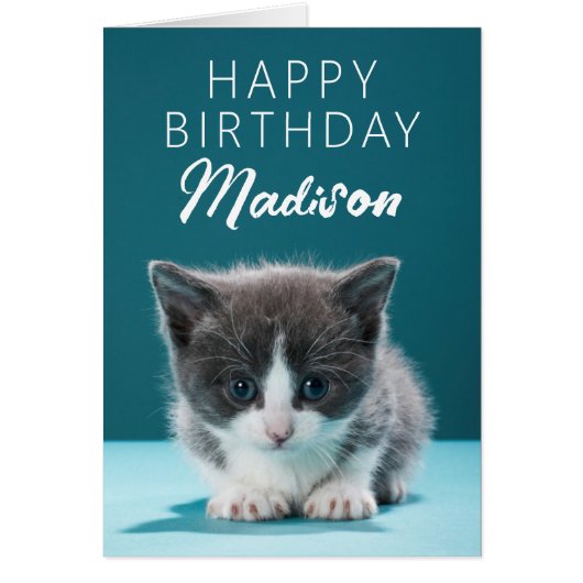 Gefeliciteerd | Kleine Kitten (Voorkant)