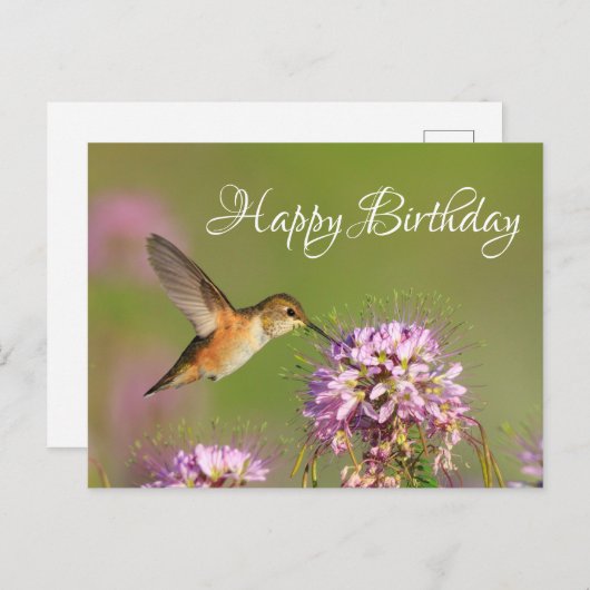 Gefeliciteerd Kolibrie Briefkaart (Voorkant / Achterkant)