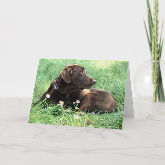 Gefeliciteerd Labrador Retriever die aan je denkt Kaart (Voorkant)