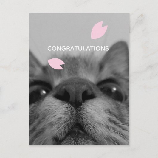 Gefeliciteerd  lege ansichtkaart  briefkaart (Voorkant)