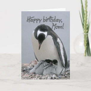 Gefeliciteerd, mama kaart