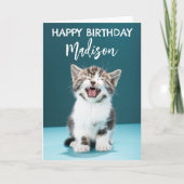 Gefeliciteerd | Meeuwende Baby Kitten Kaart (Voorkant)