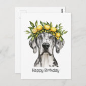Gefeliciteerd Merle Dog Great Dane met Citroen Kro Briefkaart (Voorkant / Achterkant)