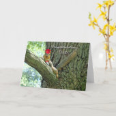 Gefeliciteerd met Afstuderen voor pa Squirrel Kaart (Gele Bloem)