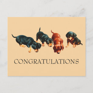 Gefeliciteerd met Curious Dachshund Puppy Doxie Ho Briefkaart