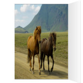 Gefeliciteerd met de feestelijke groeten (Binnen (Links))