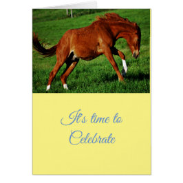 Gefeliciteerd met de feestelijke groeten