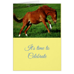 Gefeliciteerd met de feestelijke groeten