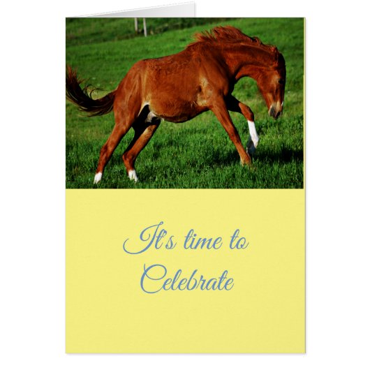 Gefeliciteerd met de feestelijke groeten (Voorkant)