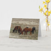 Gefeliciteerd met de nieuwe dierenarts Afstuderen Kaart (Gele Bloem)