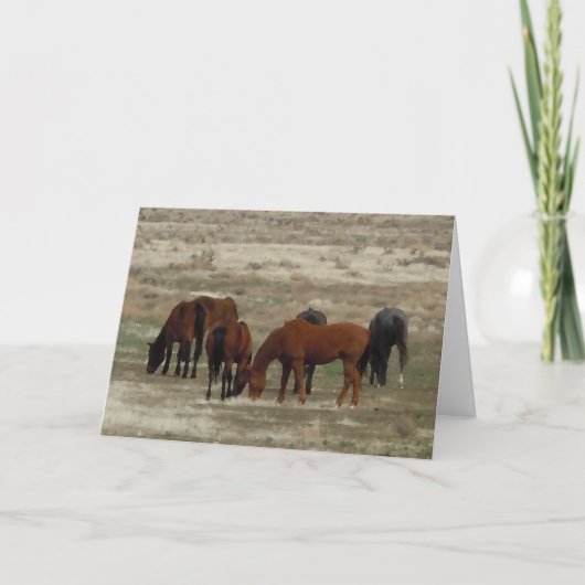 Gefeliciteerd met de nieuwe dierenarts Afstuderen Kaart (Voorkant)