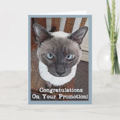 Gefeliciteerd met de promotie Funny Cat Kaart (Voorkant)