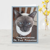 Gefeliciteerd met de promotie Funny Cat Kaart (Gele Bloem)