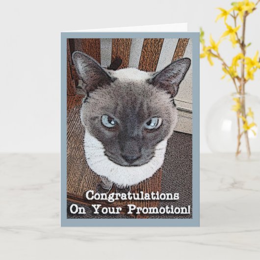 Gefeliciteerd met de promotie Funny Cat Kaart (Gele Bloem)
