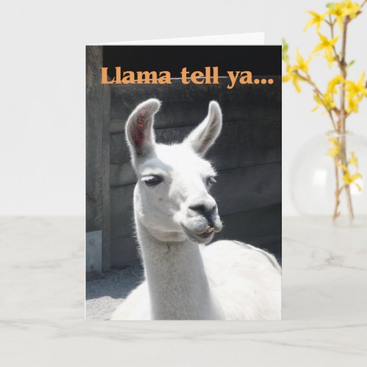 Gefeliciteerd met de promotie - Llama Kaart (Gele Bloem)
