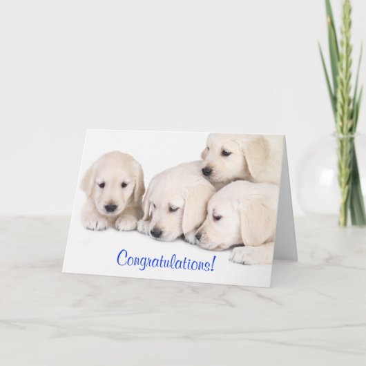 Gefeliciteerd met de Puppies-kaart voor labrador R Kaart (Voorkant)
