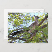 Gefeliciteerd met de verjaardag van een speciale v briefkaart (Voorkant / Achterkant)