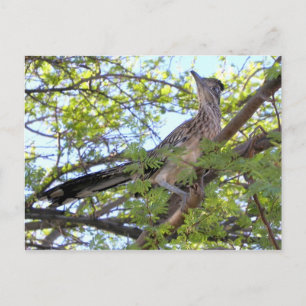 Gefeliciteerd met de verjaardag van een speciale v briefkaart