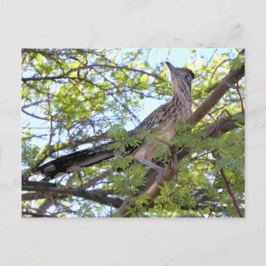 Gefeliciteerd met de verjaardag van een speciale v briefkaart (Voorkant)