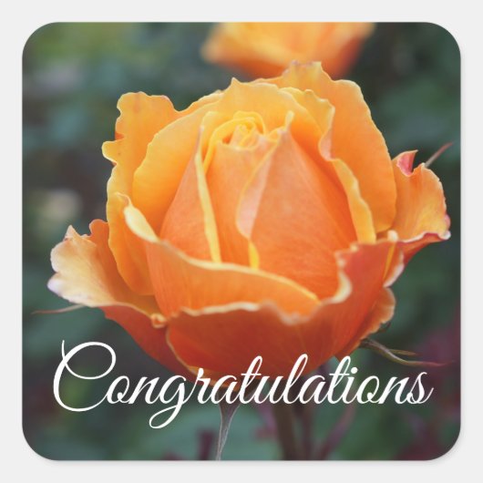 Gefeliciteerd met Face Roos #1 Stickers (Voorkant)