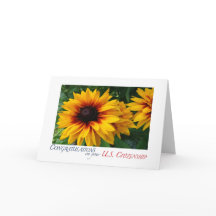 Gefeliciteerd met het Amerikaanse Burgerschap-plei