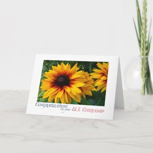 Gefeliciteerd met het Amerikaanse Burgerschap-plei Kaart (Voorkant)