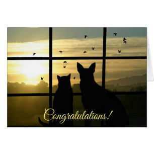 Gefeliciteerd met het feit dat je een dierenarts b