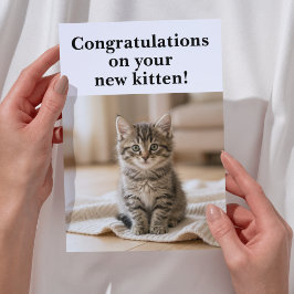 Gefeliciteerd met het nieuwe katje Hartelijk en se Kaart