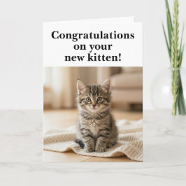 Gefeliciteerd met het Nieuwe Kitten Hartelijk Sent Kaart