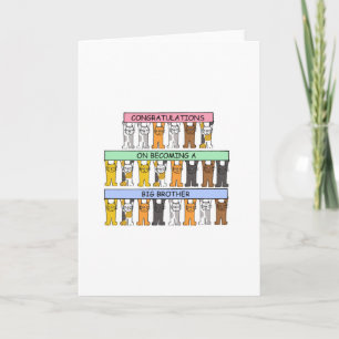 Gefeliciteerd met het worden van een Big Brother Kaart