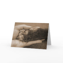 Gefeliciteerd met je adoptie!