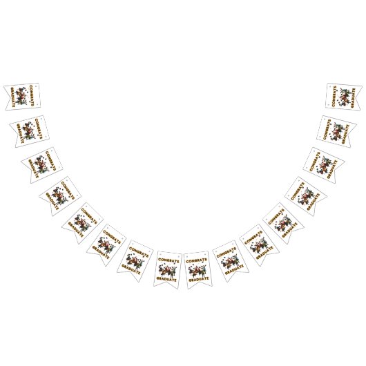 Gefeliciteerd met je afstudeerbanner vlaggetjes (Alle)