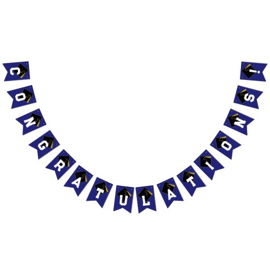 Gefeliciteerd met je afstuderen Blauw Vlaggetjes (Alle)