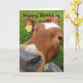 Gefeliciteerd met je moo wenskaart kaart (Gele Bloem)