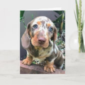 *GEFELICITEERD MET JE NIEUWE BAAN/WE ZULLEN JE MIS KAART (Voorkant)