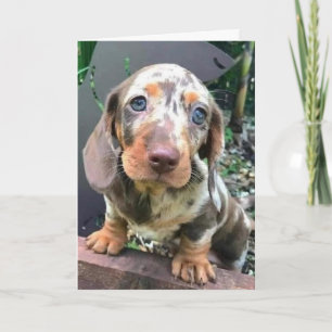 *GEFELICITEERD MET JE NIEUWE BAAN/WE ZULLEN JE MIS KAART