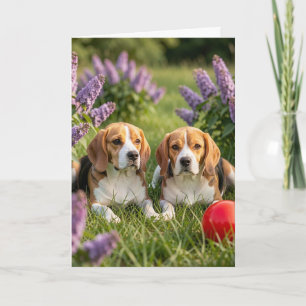 Gefeliciteerd met je nieuwe beagles Felicitaties Kaart