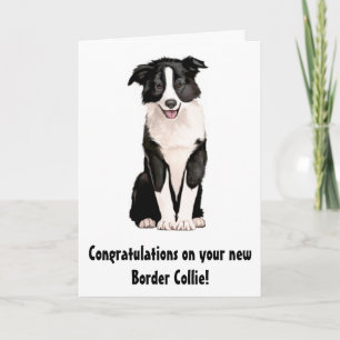 Gefeliciteerd met je nieuwe Border Collie Kaart