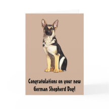 Gefeliciteerd met je nieuwe Duitse herder