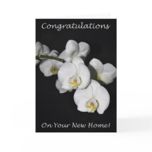 Gefeliciteerd met je nieuwe Home Orchid!