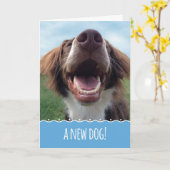 Gefeliciteerd met je nieuwe hond, Happy Pup Kaart (Gele Bloem)