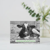 Gefeliciteerd met je nieuwe kalf baby ansichtkaart briefkaart (Staand voorkant)
