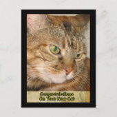 Gefeliciteerd met je nieuwe kat briefkaart (Voorkant)