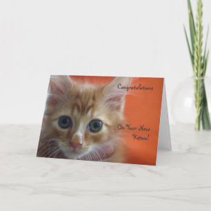 Gefeliciteerd met je nieuwe kitten kaart