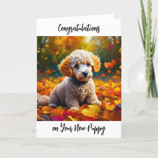 Gefeliciteerd met je nieuwe puppy kaart