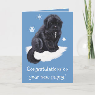 Gefeliciteerd met je nieuwe puppy kaart