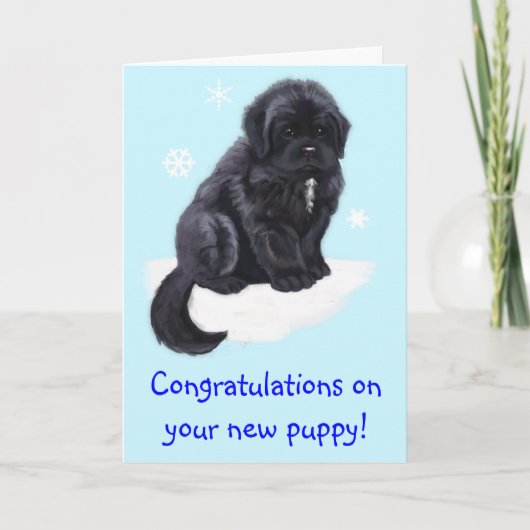 Gefeliciteerd met je nieuwe puppy kaart (Voorkant)