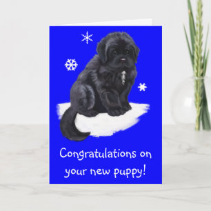 Gefeliciteerd met je nieuwe puppy kaart