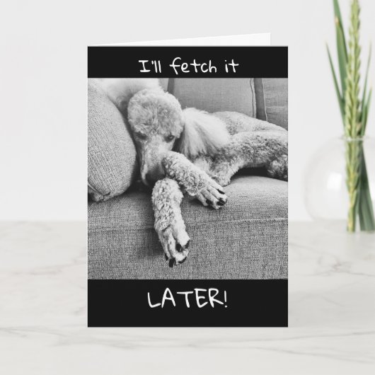 Gefeliciteerd met je pensioen met Lazy Poodle Kaart (Voorkant)